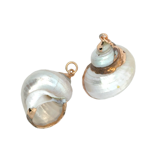 Elegant Gold Sea Shell Charms