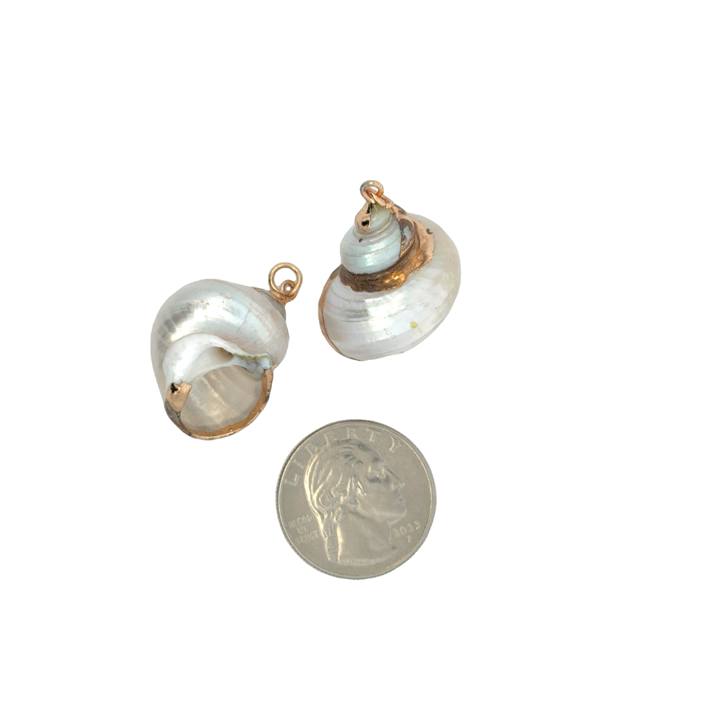 Elegant Gold Sea Shell Charms