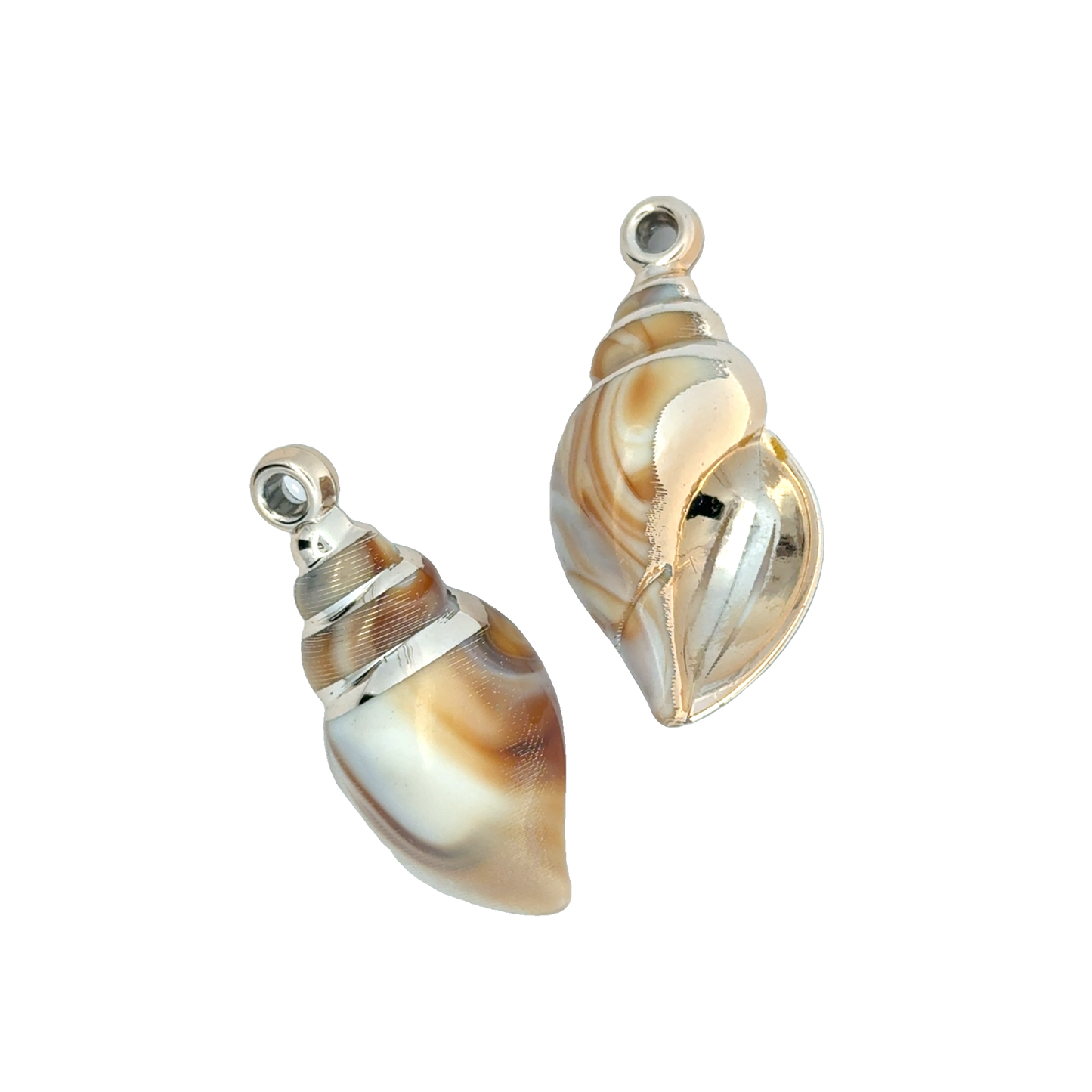 Elegant Cream Sea Shell Charm
