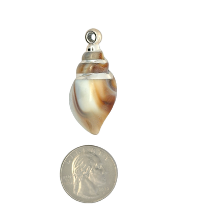 Elegant Cream Sea Shell Charm